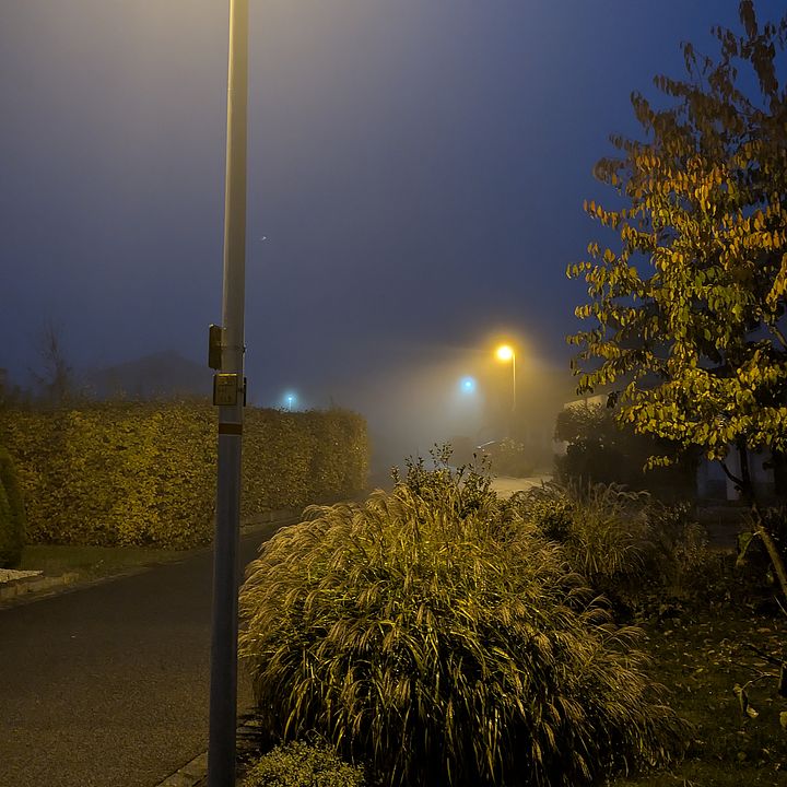 Eine leere asphaltierte Straße bei Dunkelheit und dichtem Nebel. Im Vordergrund erhellt eine warmgelb leuchtende Straßenlaterne eine Hecke, herbstlich verfärbte Sträucher und hoch gewachsene Ziergräser am Straßenrand. Im nebligen Hintergrund ist eine weitere leuchtende Laterne zu erkennen.